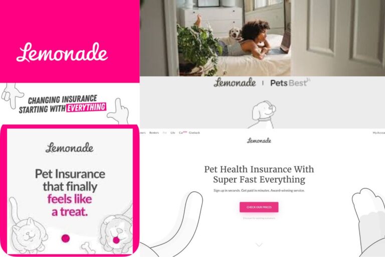 Bundle Services with Lemonade: How to Add Home plus Pet plus Life for Better Value